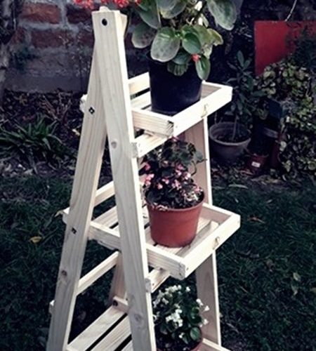 Jardin 4